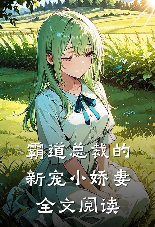 霸道总裁的新宠小娇妻全文阅读