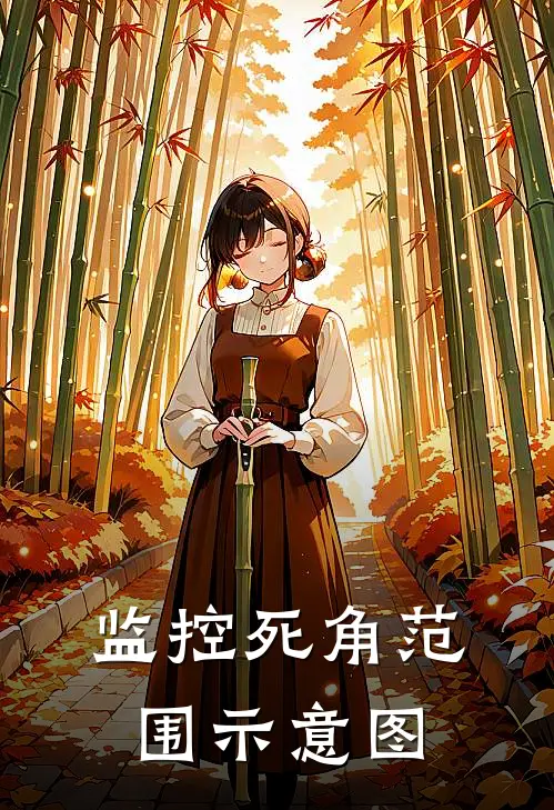 监控死角范围示意图